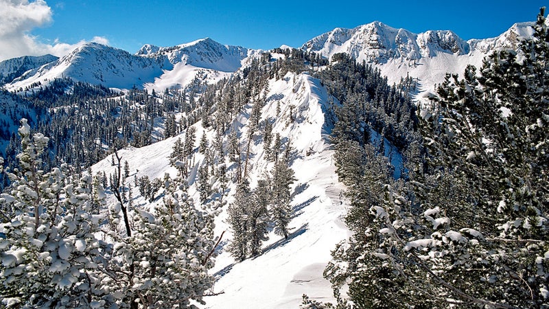 ; ski; skier; skiing; snow; spo horizontal mountain united states united states of america