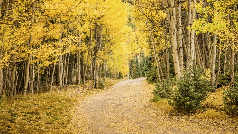OutsideOnline autumn Mancos Colorado San Juan Mountains trail running best towns high-altitude