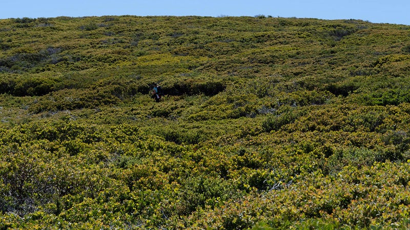 OutsideOnline Mount Laguna San Diego trail field hill best towns high-altitude running