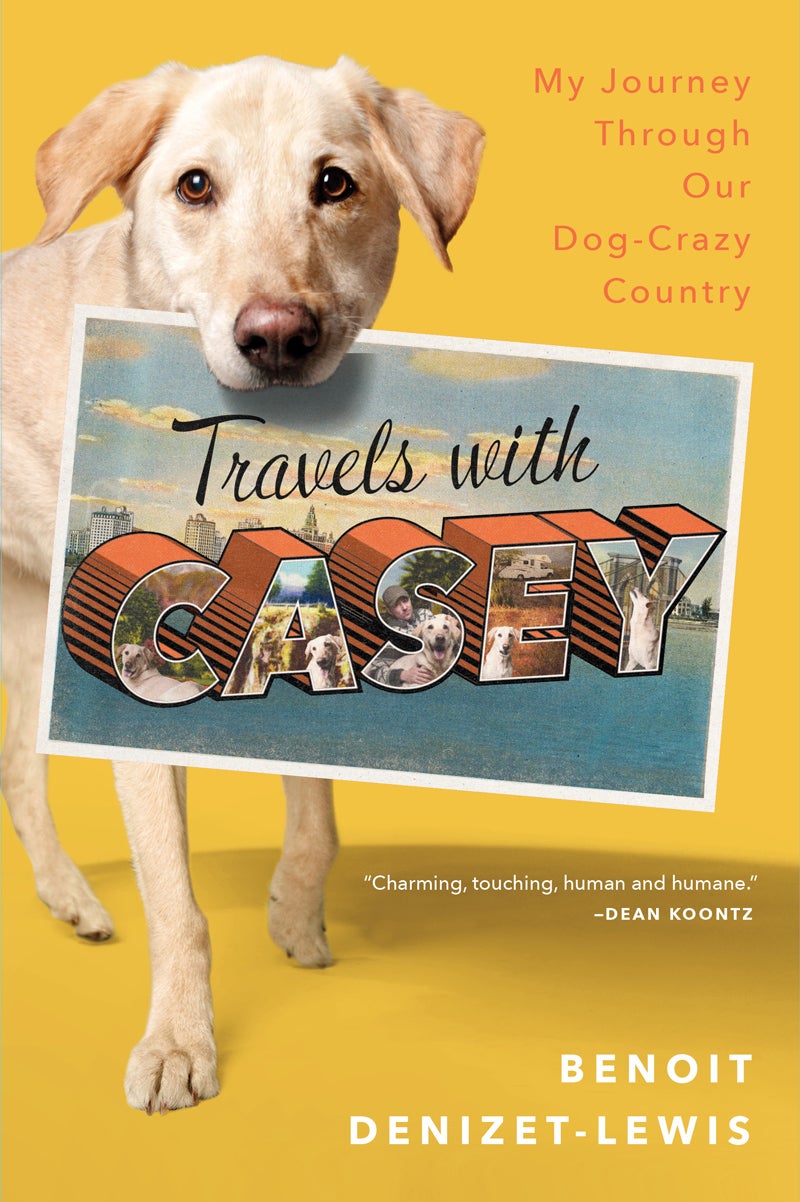 Benoit Denizet-Lewis Casey Travels with Casey Travels with Charley John Steinbeck road trip Cesar Millan dock jumping yellow lab Labrador Retriever dog ownership American dog rez dog stray dog humane society animal shelter animal abuse simon & schuster man and dog dog crazy bulldog pit bull mutt outside magazine outside online escapes the stream wild file dogs