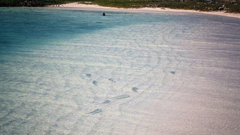 bonefishing los roques