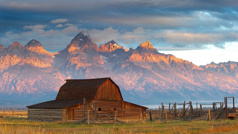 _Top-Pics _Top-Pics-Nature @Summit Jackson Hole Larry Johnson LJ Nature Portfolio