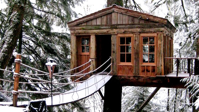 treehouse point travel winter