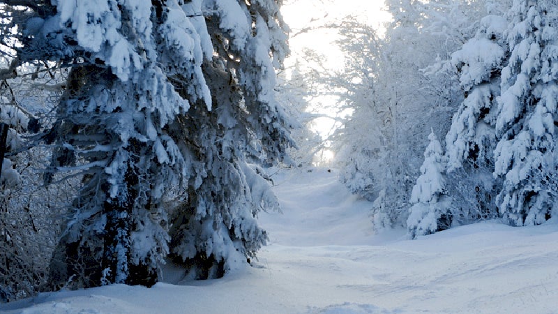 vermont fat biking