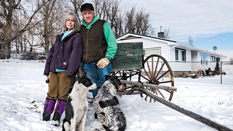 Montana Weisner Wolves agriculture farm farming predator ranch ranchers ranching rural