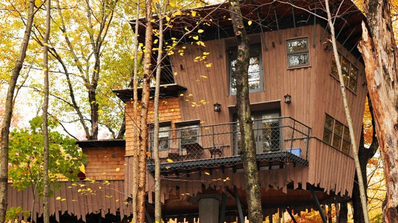 winvian treehouses travel outside