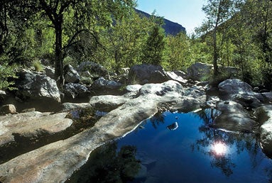 Sabino Canyon, Tucson