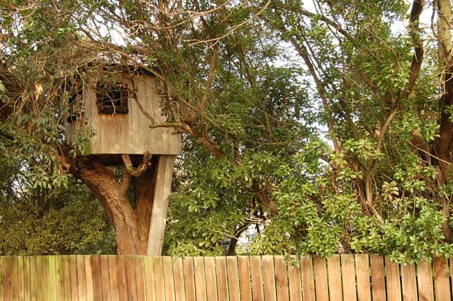 Treehouse