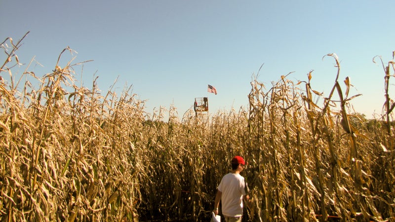 2010 Cherry Crest Farms Corn Maze Matt Pennsylvannia