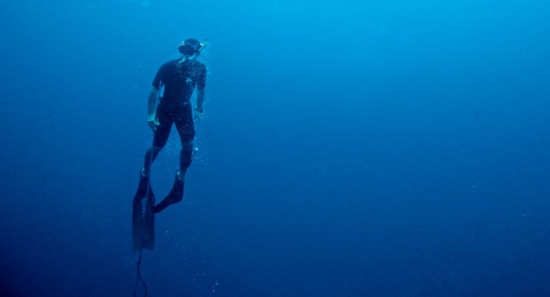 chris fischer galapagos diving shark ocearch