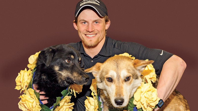 Alaska Dog Mushing Iditarod 2014