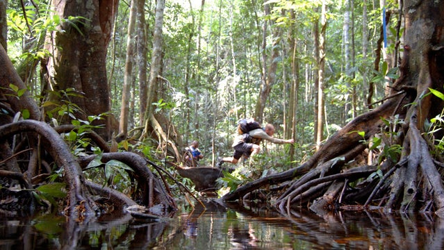 jungle marathon africa trail running tree roots marathon