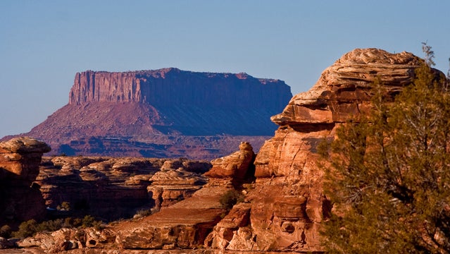 moab trail marathon trail running mesas moab utah