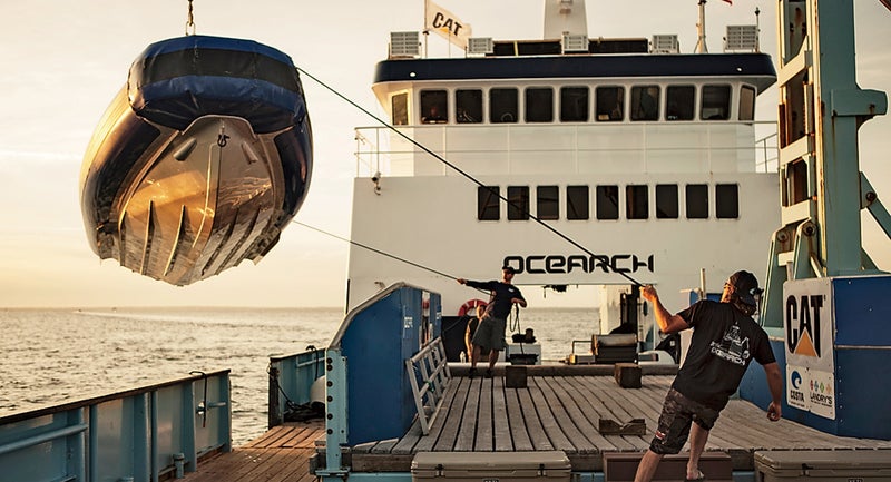 ocearch shark chris fischer