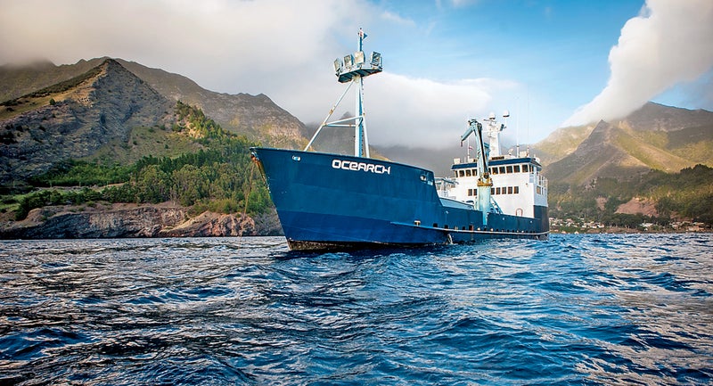 chris fischer shark ocearch