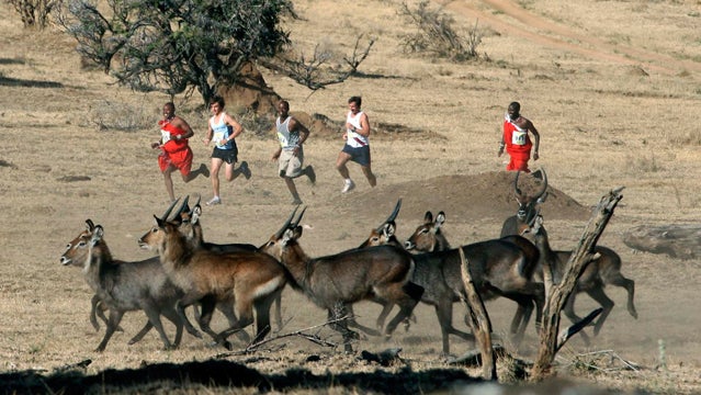 safaricom marathon africa trail running marathon