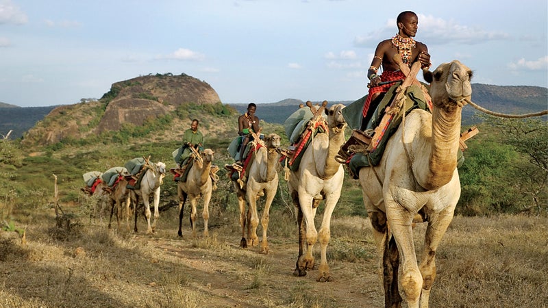 Kenya Laikipia Ol Malo