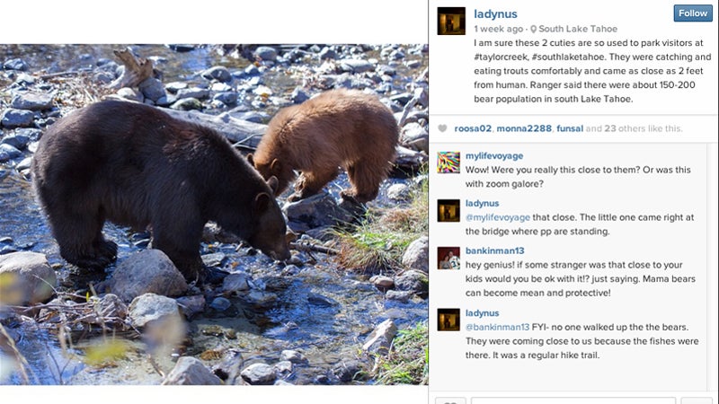 instagram bear selfies lake tahoe south lake tahoe taylor creek taylor creek visitors center usfs kokanee salmon news from the field outside outside magazine outside online