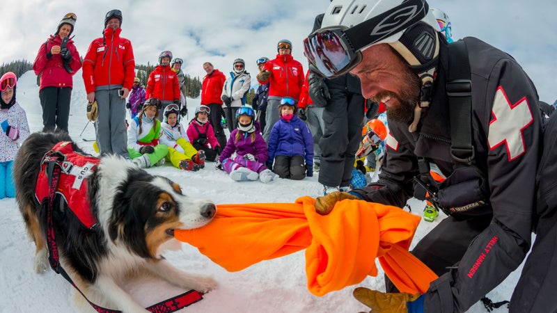 Aspen Highlands Dan Bayer Patrol Patrol Dogs Ski Patrol outside Best Places to Work