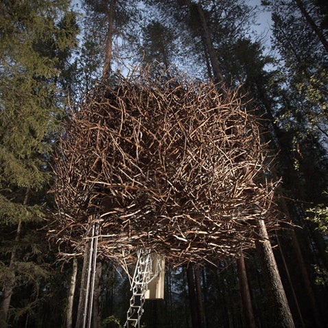 Attention bird lovers and tree house aficionados. This shelter lets you truly disappear into the forest. Read more.