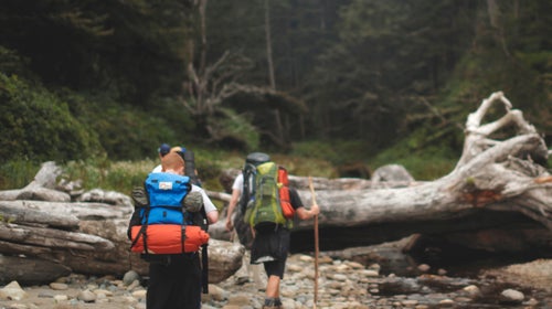 design gear backpack lowepro