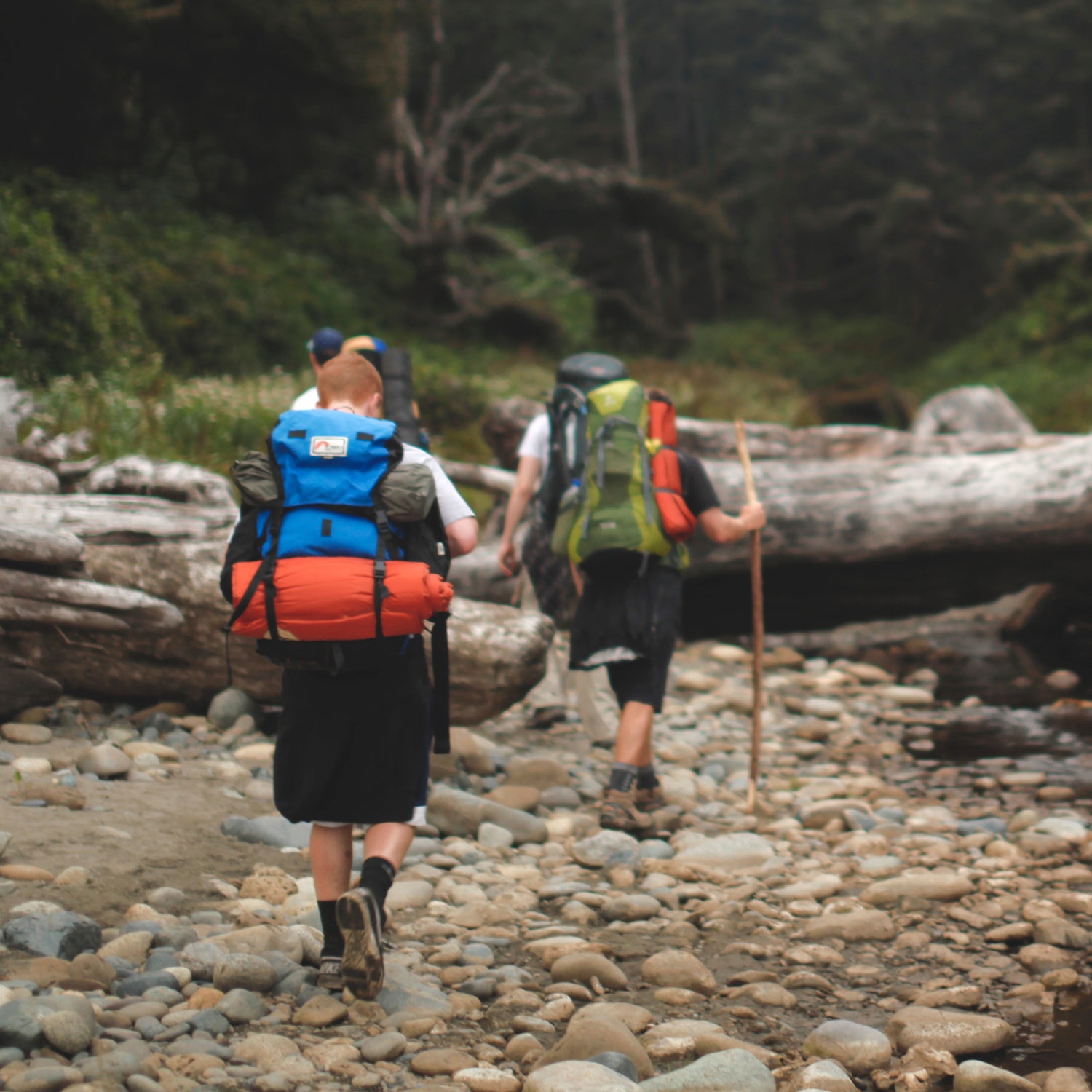 design gear backpack lowepro