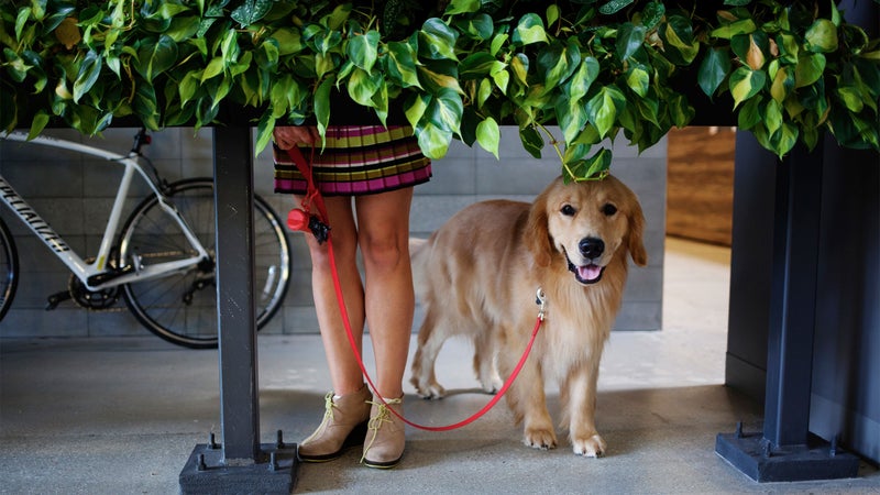 Best Places to Work outside