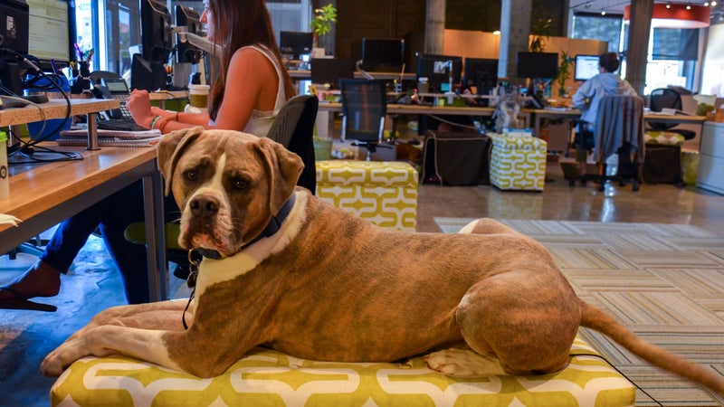 Best Places to Work outside
