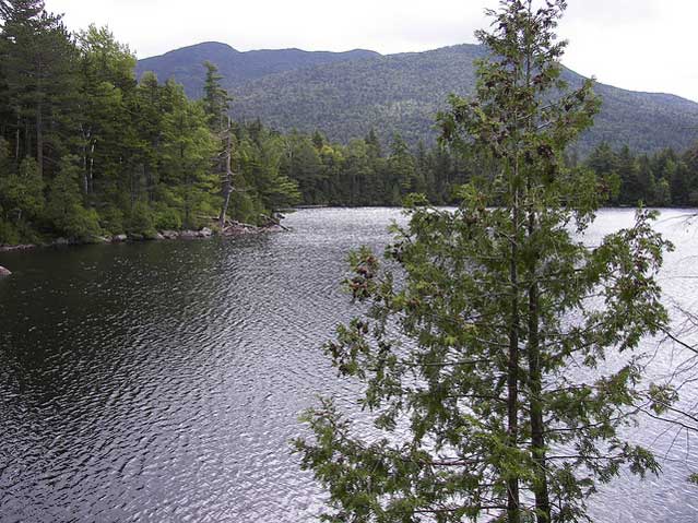 Copperas Pond