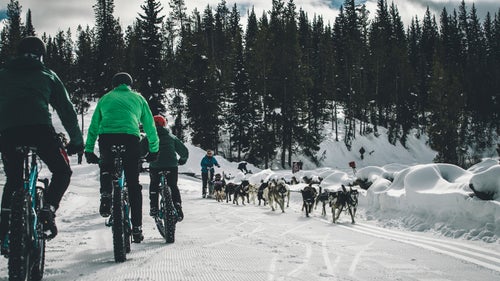 Fat biking jackson cycling guys trip