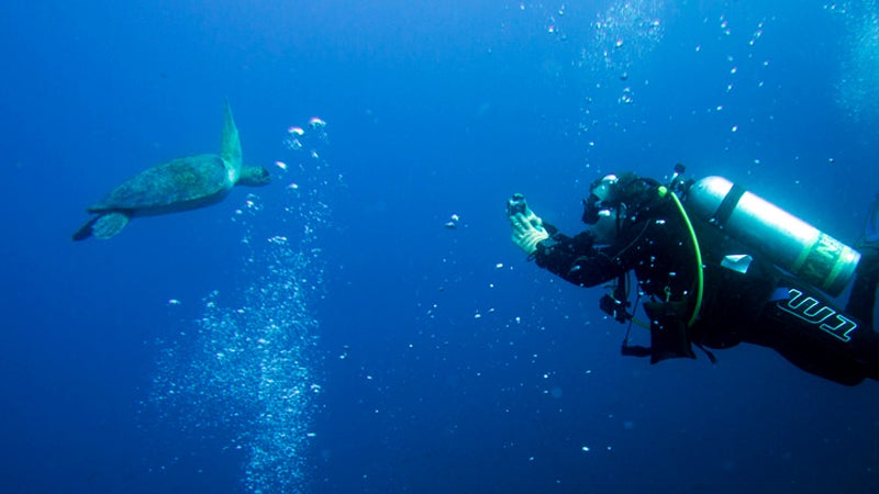 What Are the Top Destinations for Nighttime Scuba Diving?