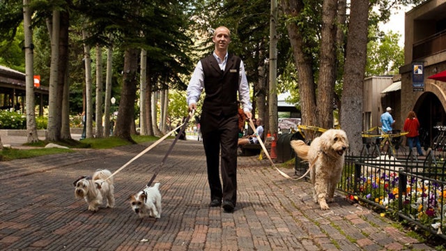 Dog Jeremy Swanson Summer The Little Nell