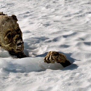 One of the mummified frozen body sticks out from the snow on the Pico de Orizaba volcano. These may be the remains of climbers missing since a 1959 avalanche on the peak.