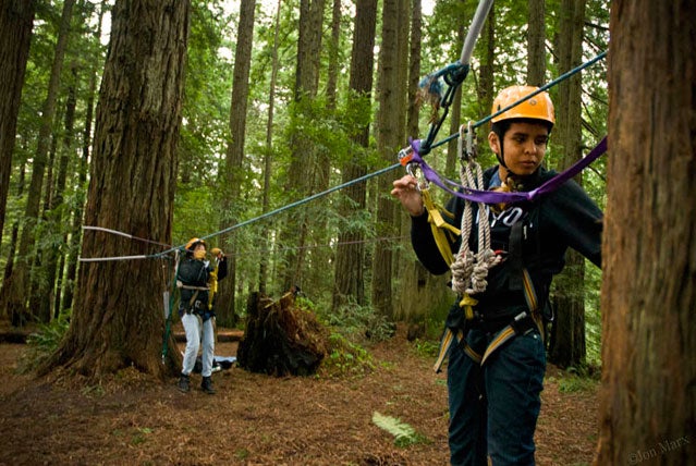 What Are the Best Zip Line Tours